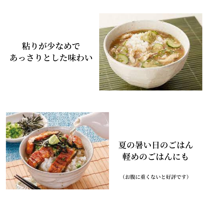 岩手県産 ササニシキ | 松勘商店【お米の松勘】